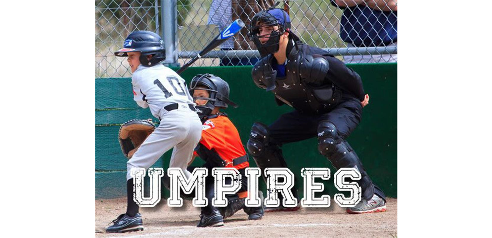 2024 Umpire Training Schedule